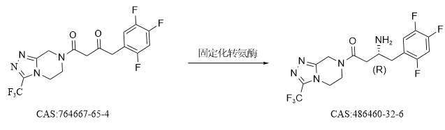 西格列汀固定化转氨酶简介